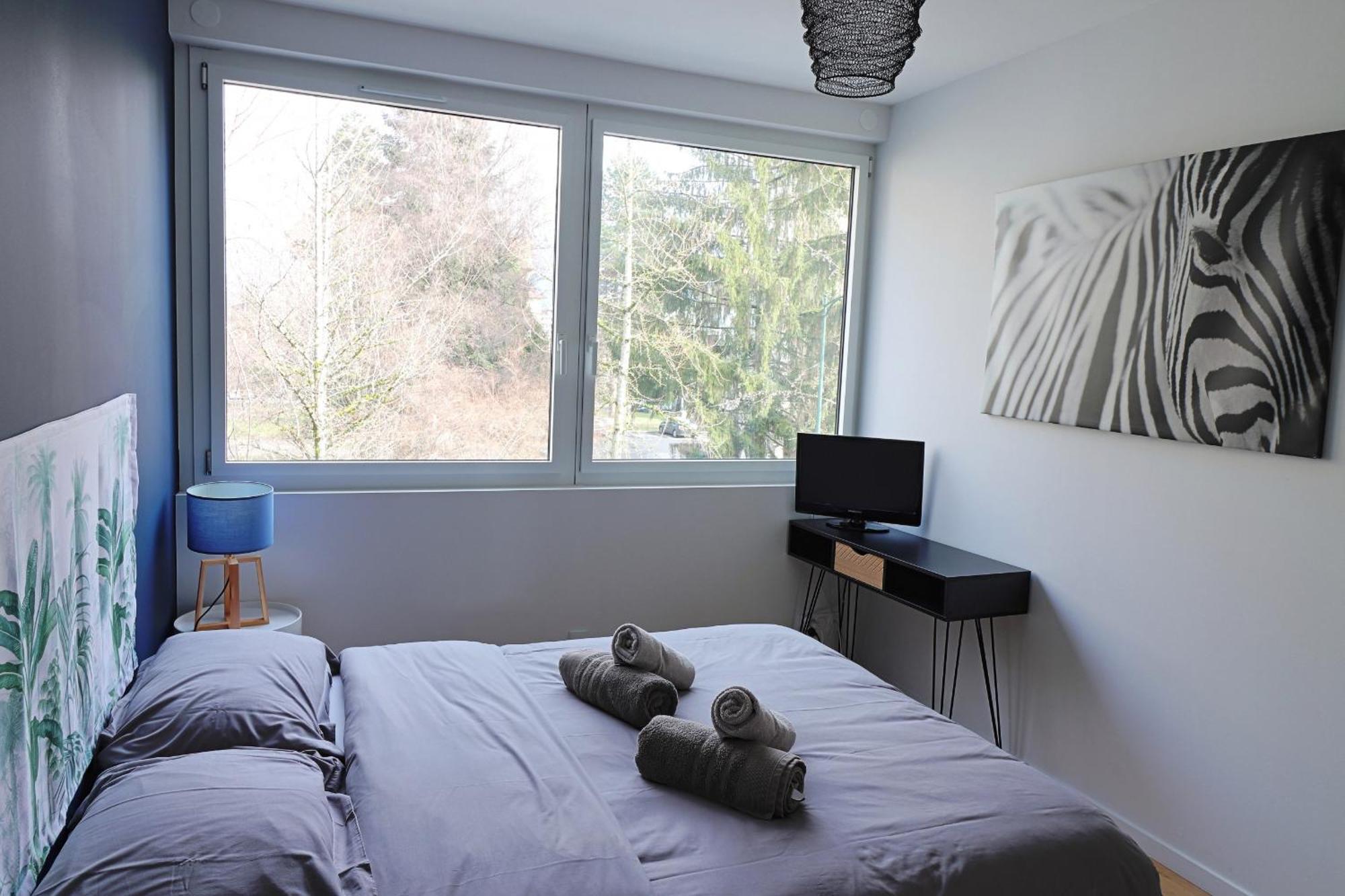 Coup De Coeur Appartement Lumineux, Calme Et Cosy Annecy Dış mekan fotoğraf